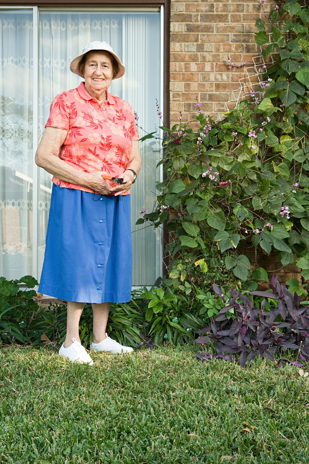 Home Care Services in Greentree PA: Senior’s Immune System