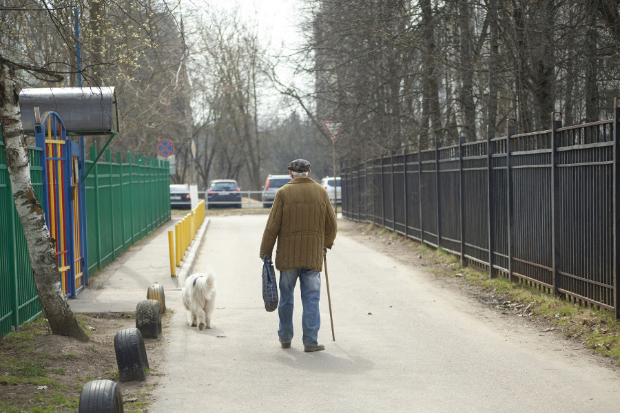 Homecare in Fox Chapel PA: Senior Pet Safety