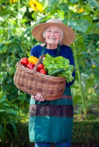 Senior Nutrition: Home Care Assistance Greentree PA